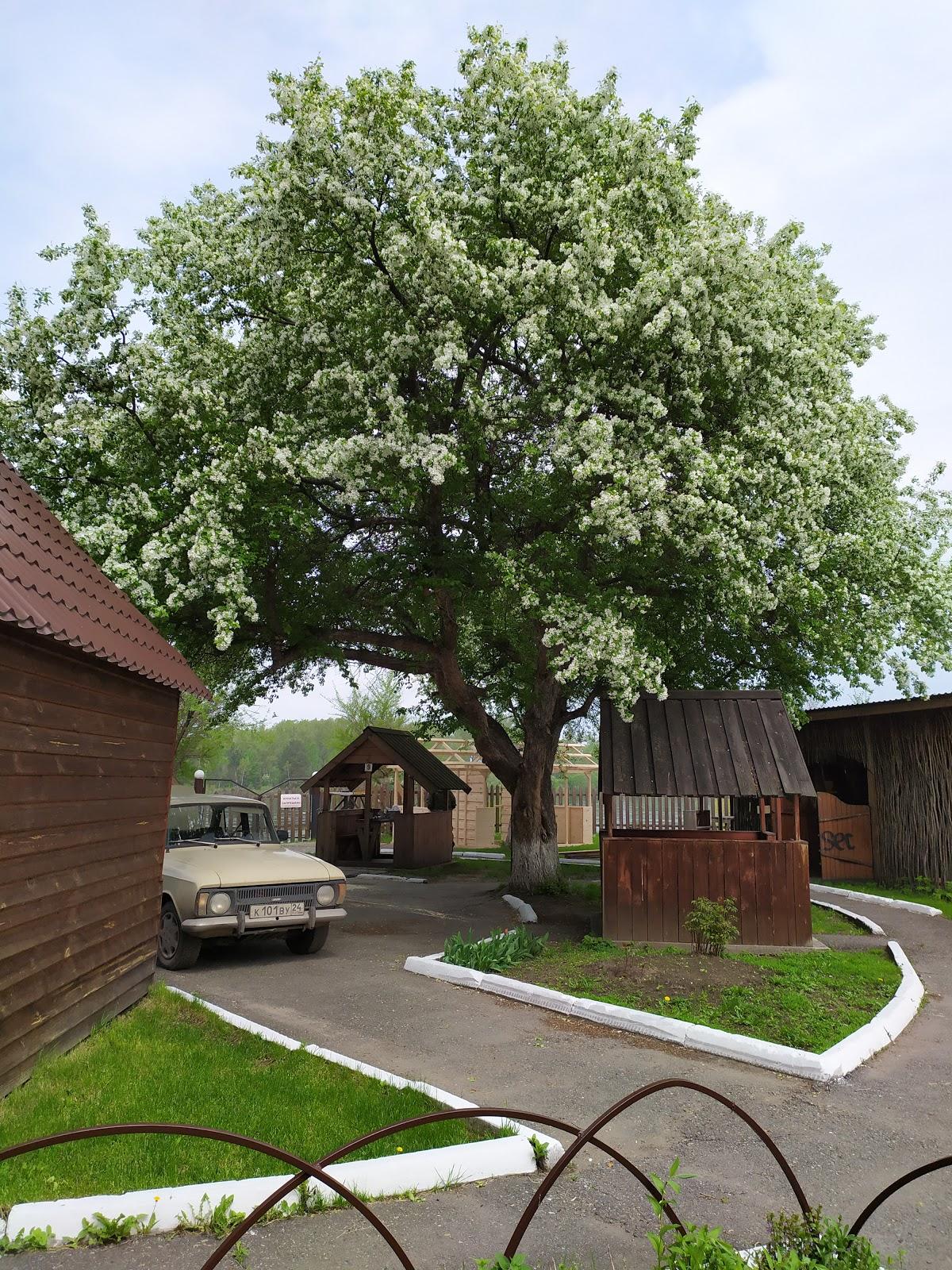 Хуторок