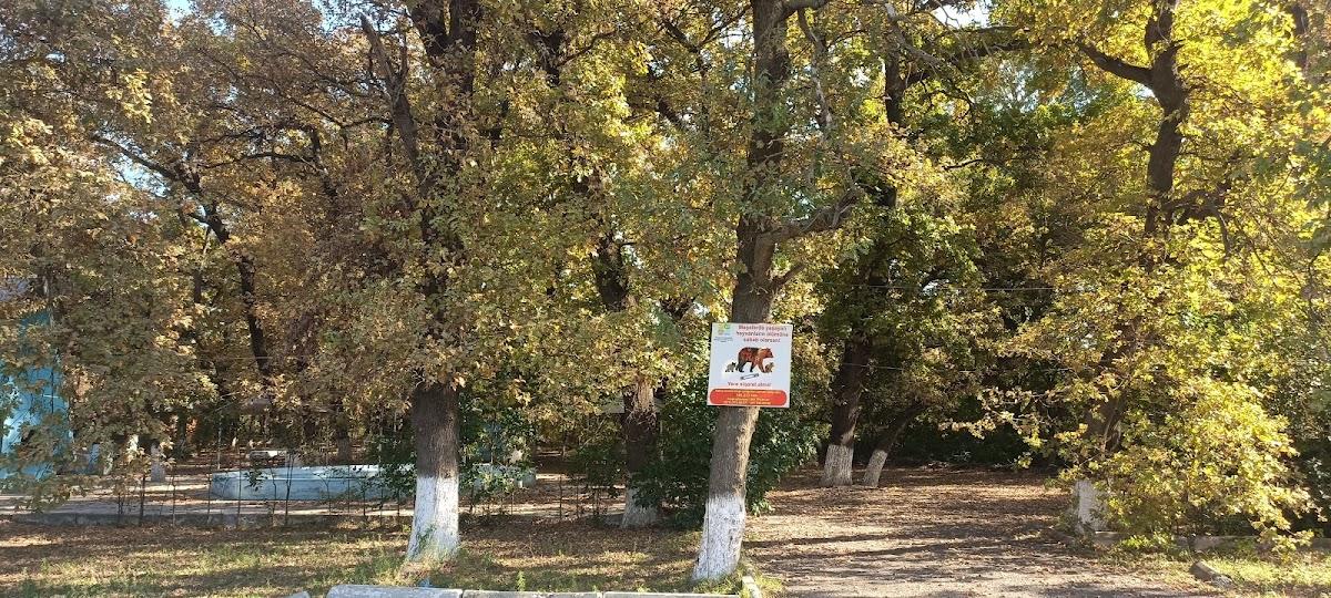 Ayılar ailəvi istirahət mərkəzi
