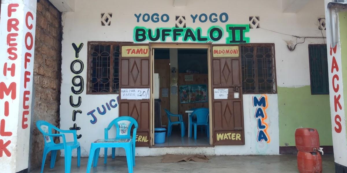 Buffalo 2
