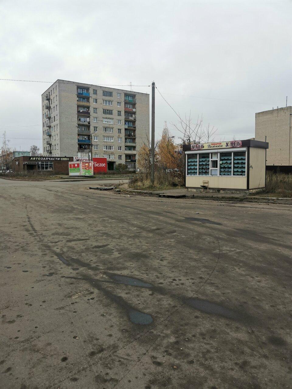 Вьюнки