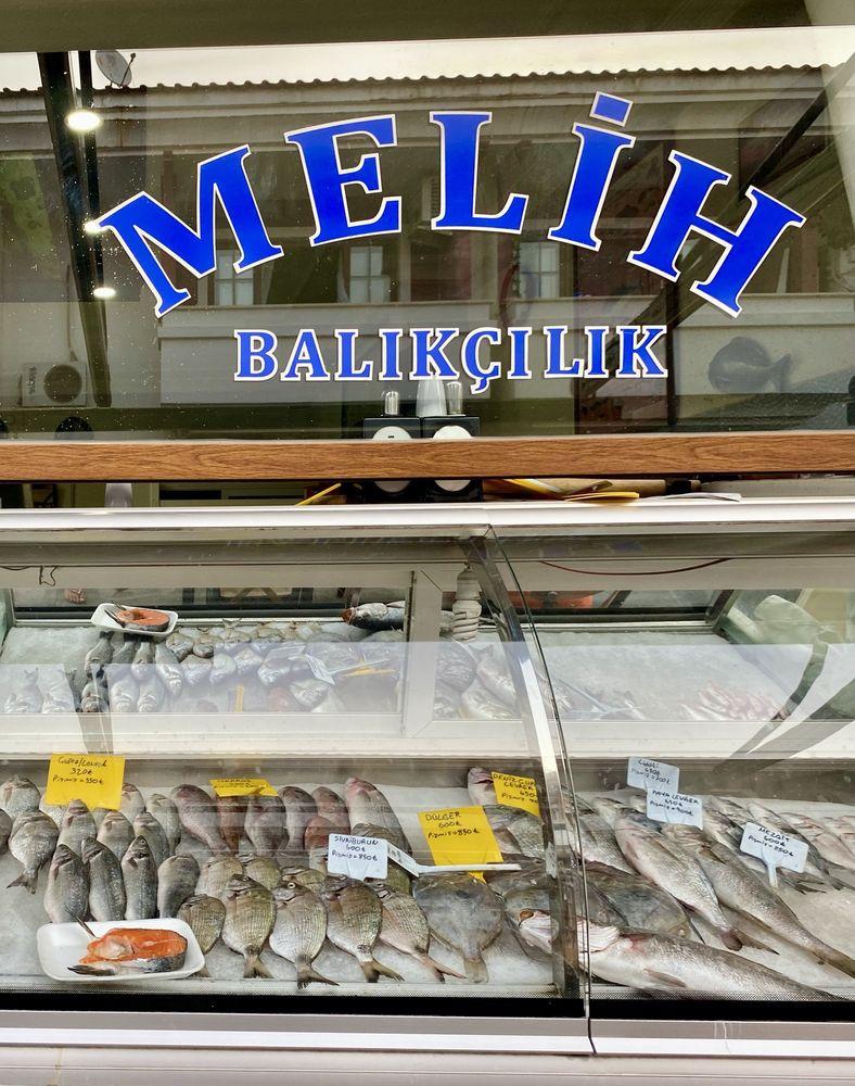 Melih Balikcilik