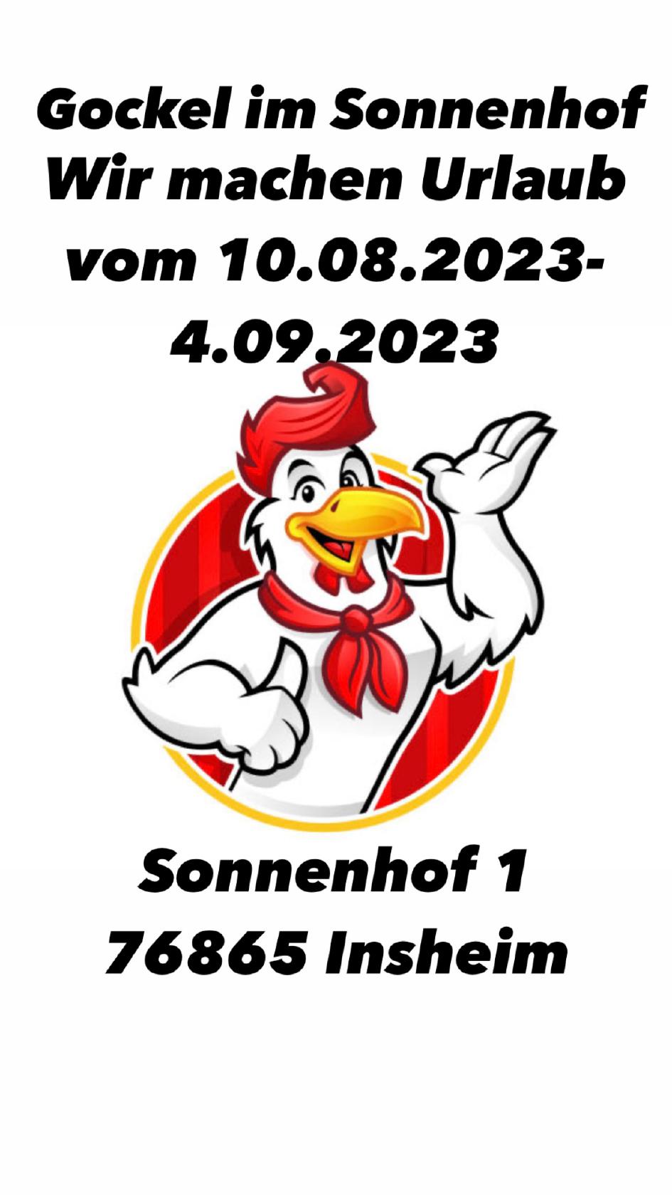 Gockel im Sonnenhof