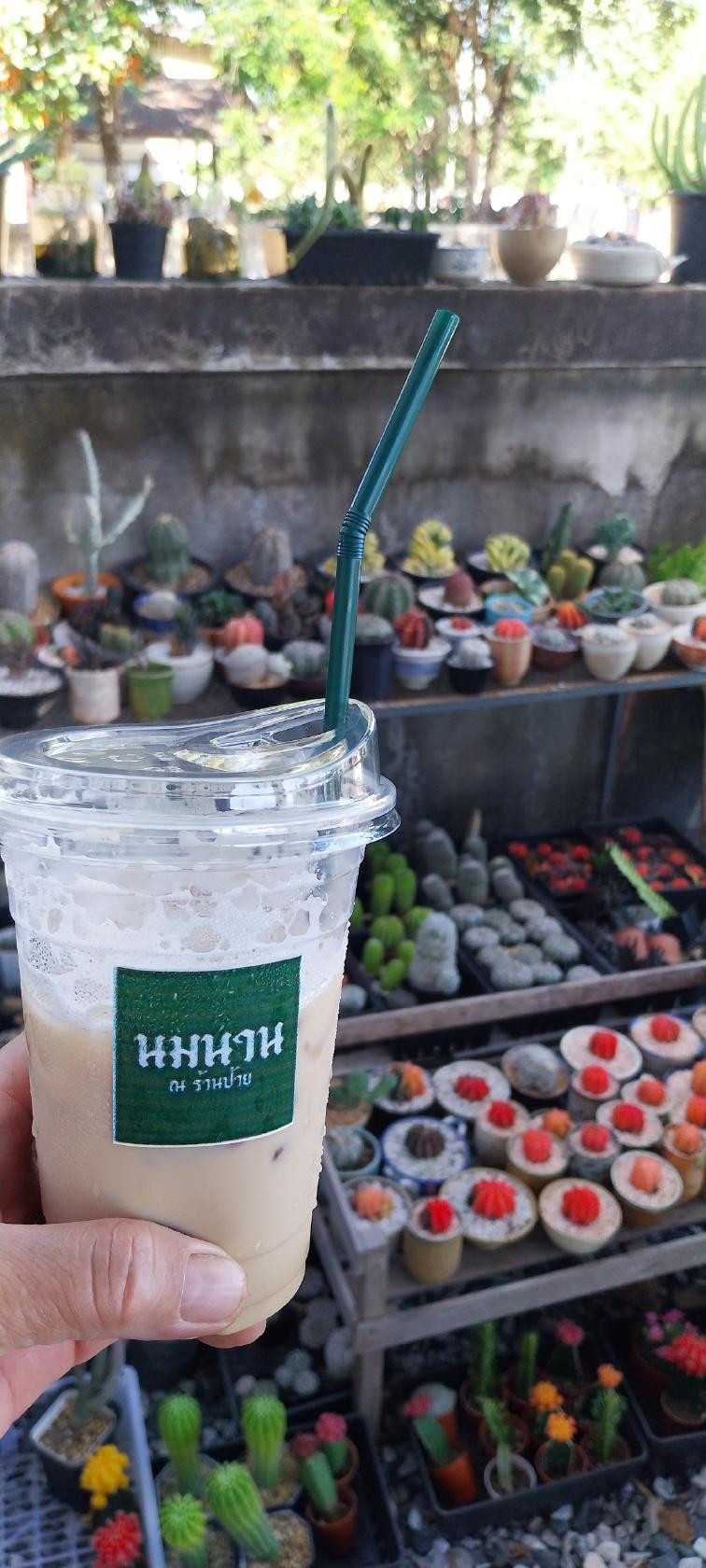 นมนาน ณ ร้านป้าย