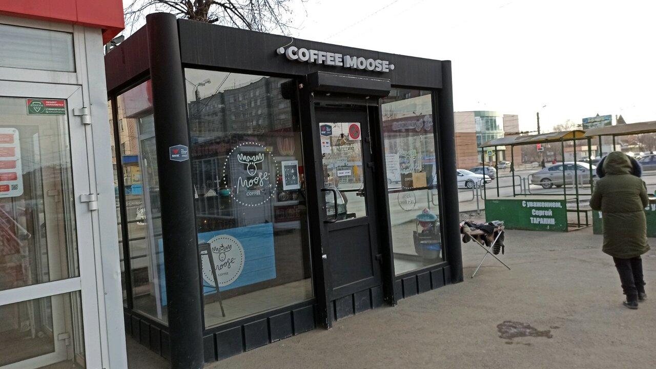Coffee Moose
