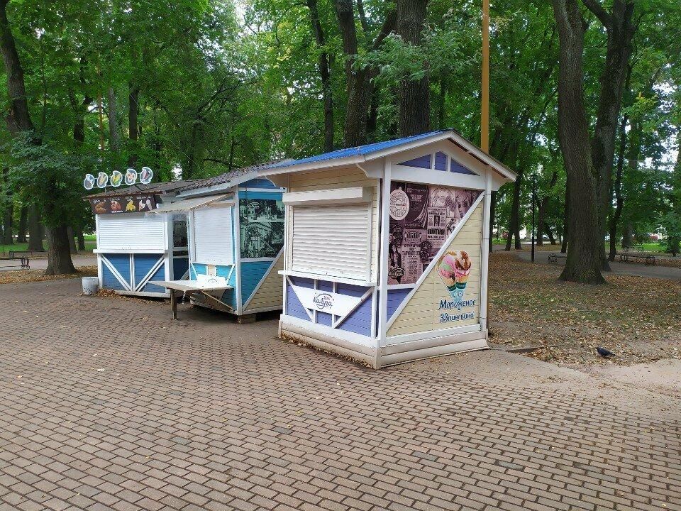 33 Пингвина
