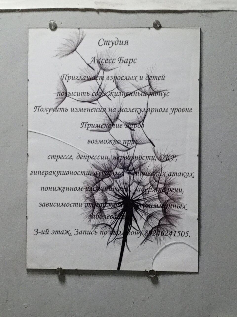 Аксесс Барс