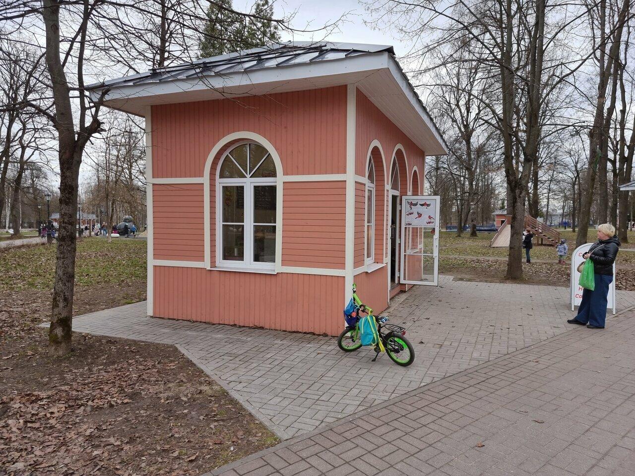 SneШок