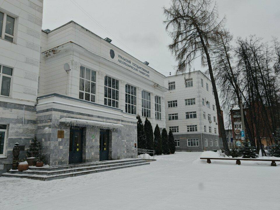 Пышки