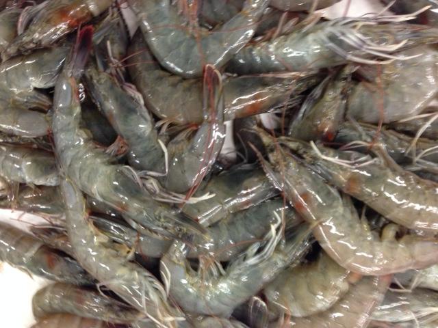 Seafood Xpress