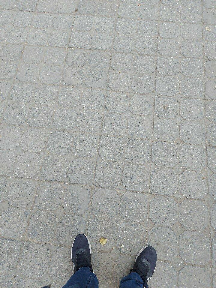 Шаурма