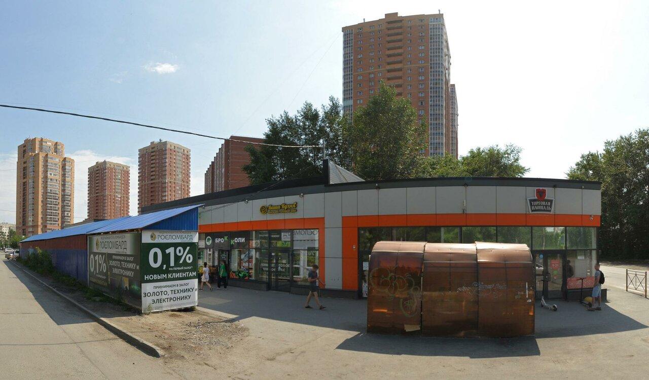 Имбирь
