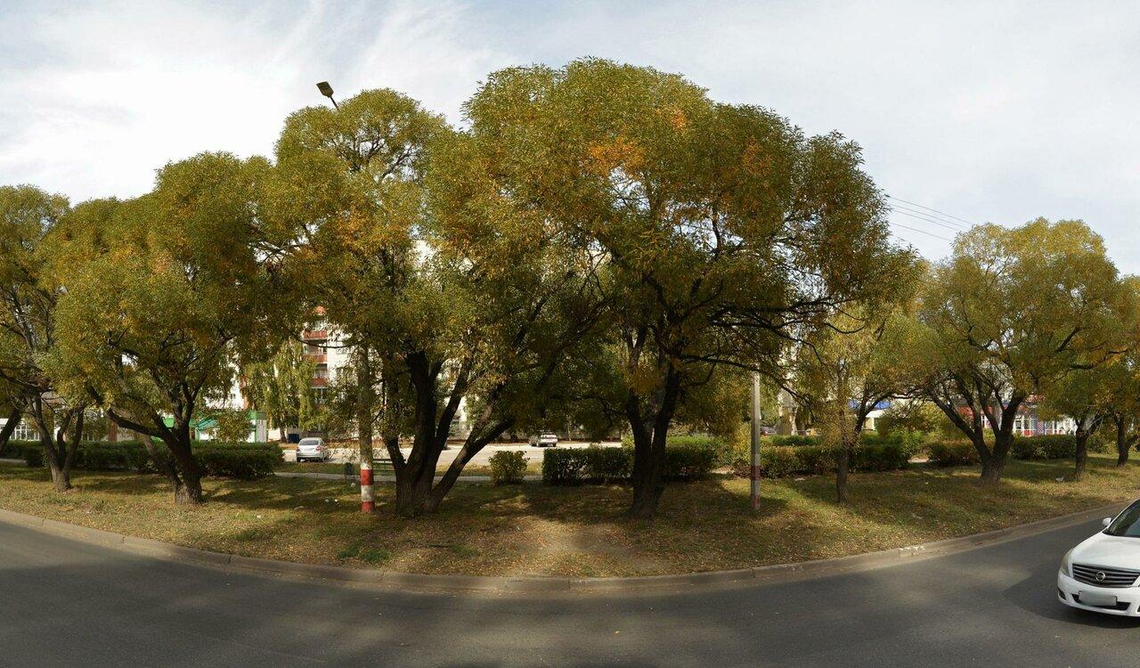 Куры-гриль