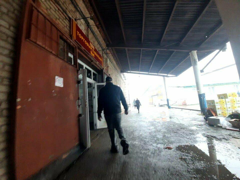 Толбазинский хлеб
