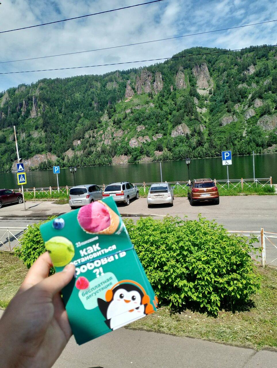 33 Пингвина