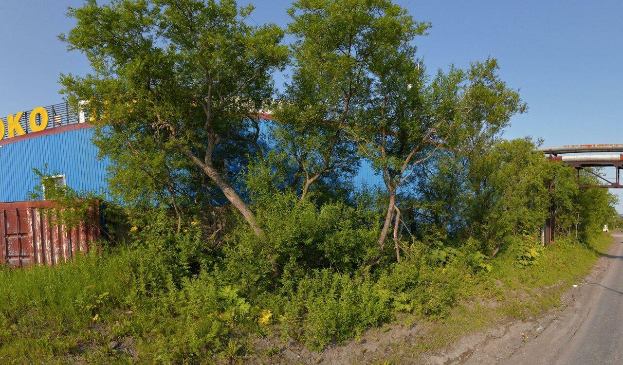 Пироги & рёбра