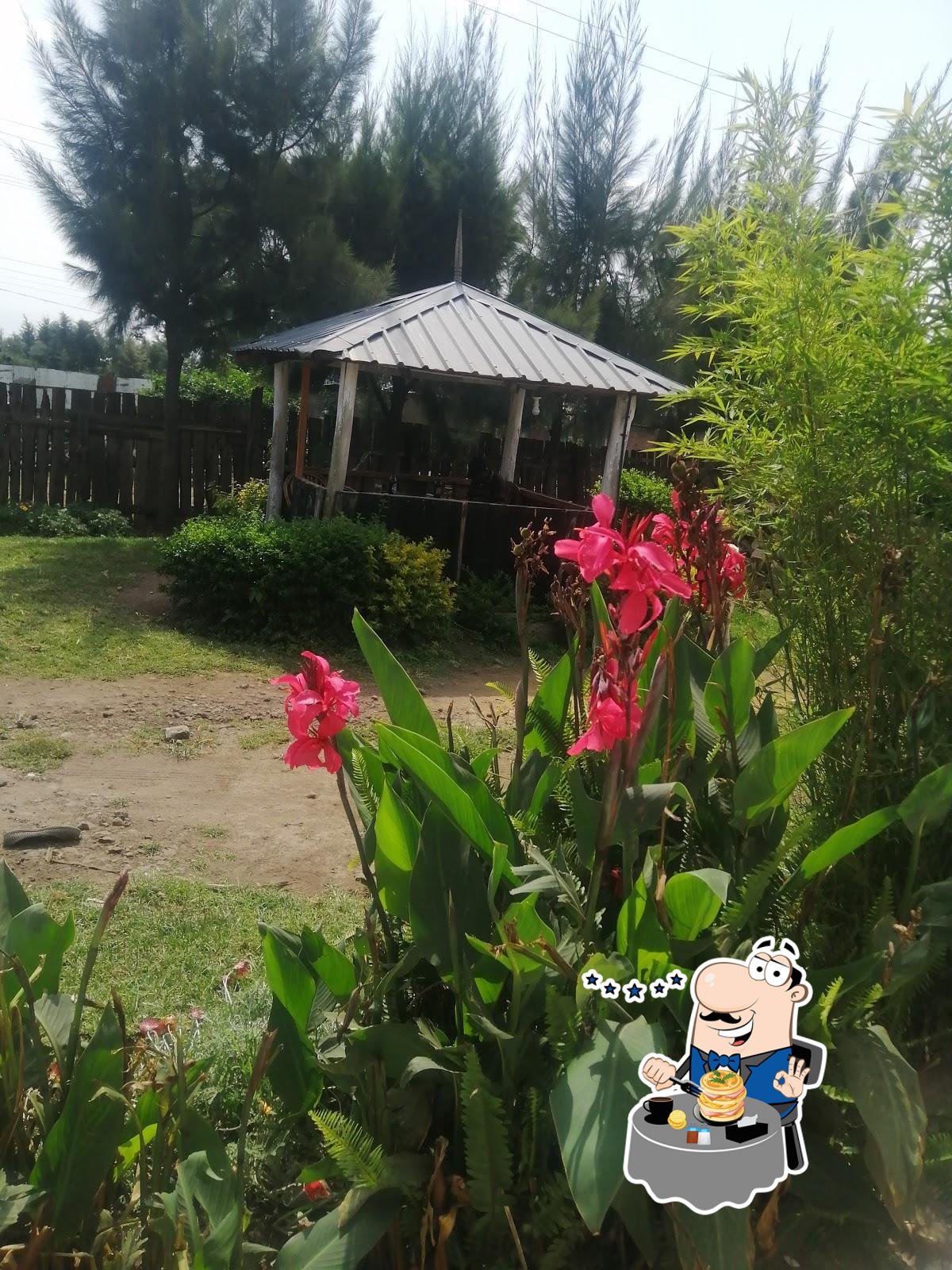 Фото с Google