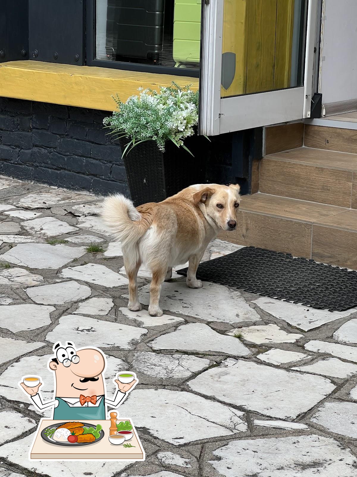 Фото с Google