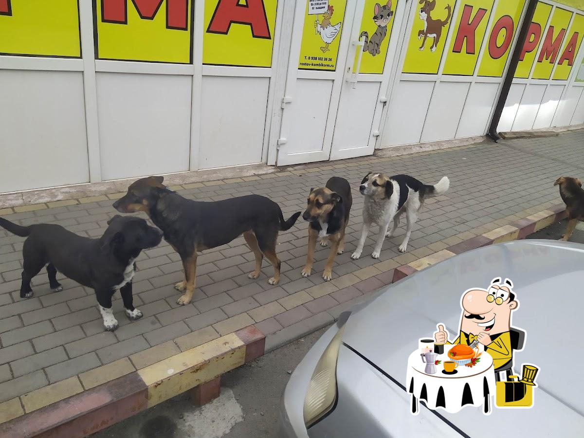 Фото с Google