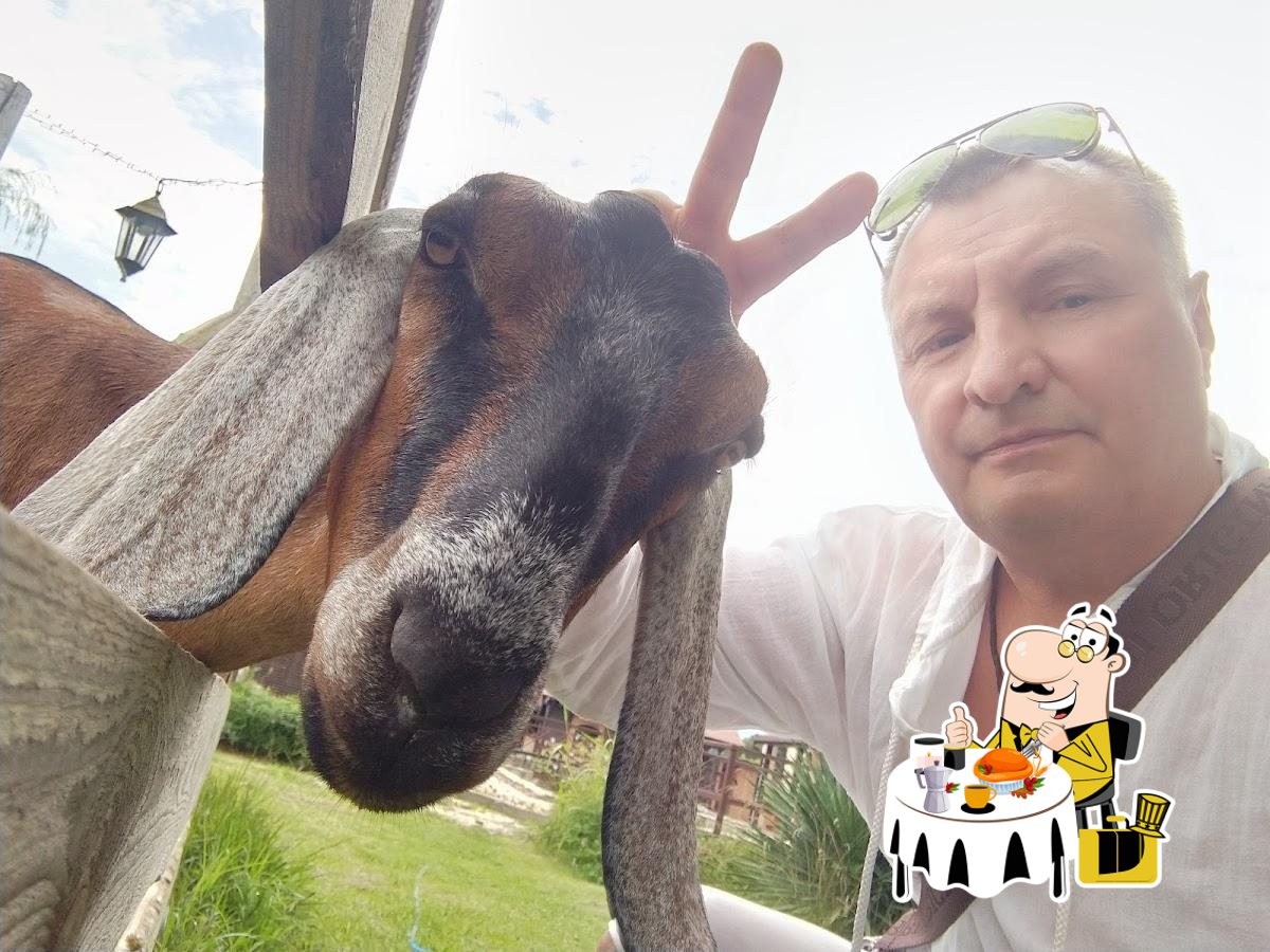 Фото с Google