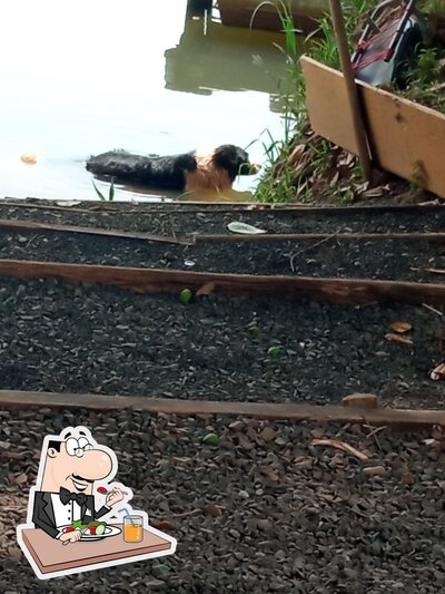 Comida em Pousada do Dourado