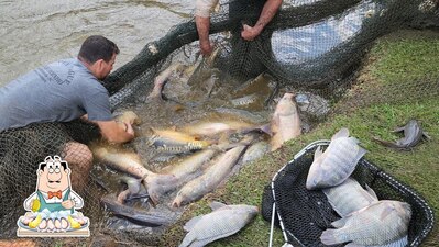 Pesque Pague Poço do Moinho foto