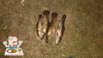 Comida em Sitio Santa Barbára