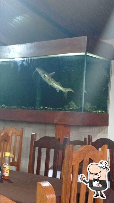 Veja imagens do interior do Hotel e Restaurante SAT