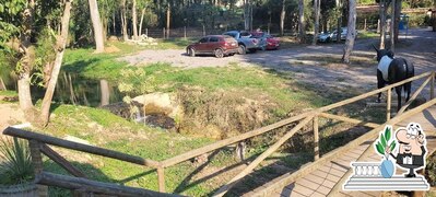 Descubra o exterior do Bar ku da mata