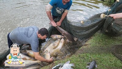 Pesque Pague Poço do Moinho foto