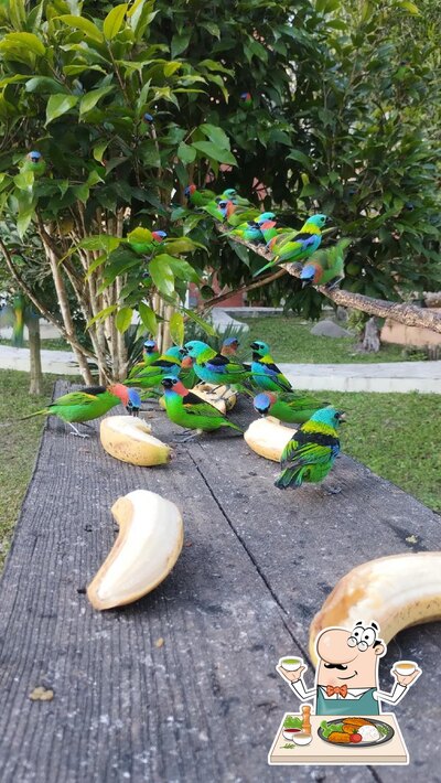 Comida em Sítio Espinheiro Negro