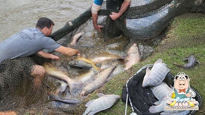 Pesque Pague Poço do Moinho foto